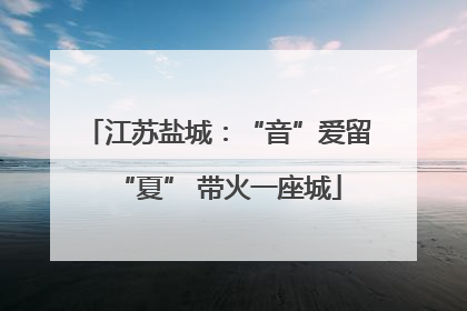 江苏盐城：“音”爱留“夏” 带火一座城