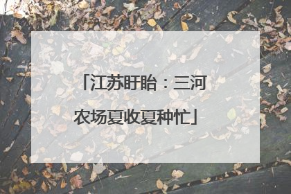 江苏盱眙：三河农场夏收夏种忙