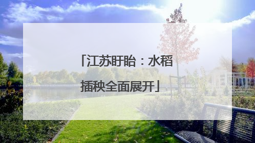 江苏盱眙：水稻插秧全面展开