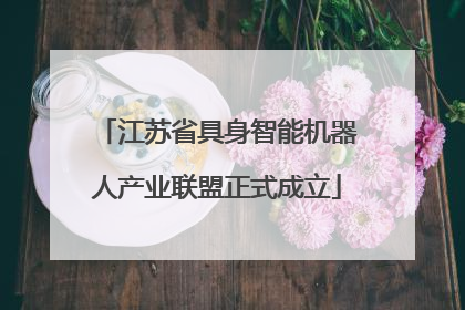 江苏省具身智能机器人产业联盟正式成立
