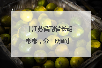 江苏省副省长胡彬郴，分工明确