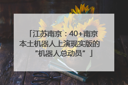 江苏南京：40+南京本土机器人上演现实版的“机器人总动员”