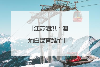 江苏泗洪：湿地白鹭育雏忙