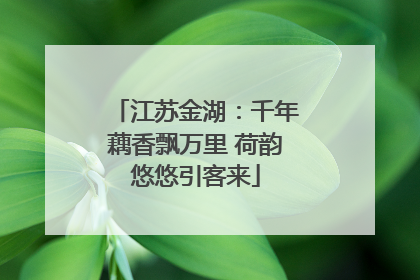 江苏金湖：千年藕香飘万里 荷韵悠悠引客来