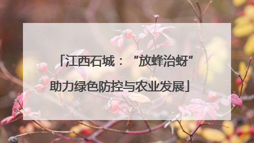 江西石城：“放蜂治蚜”助力绿色防控与农业发展