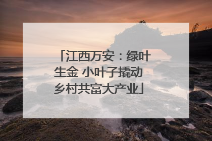 江西万安：绿叶生金 小叶子撬动乡村共富大产业