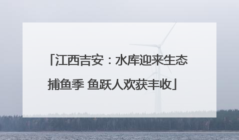 江西吉安：水库迎来生态捕鱼季 鱼跃人欢获丰收