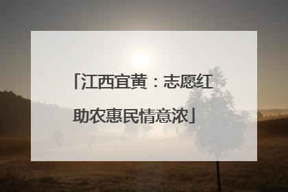 江西宜黄：志愿红助农惠民情意浓
