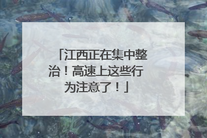 江西正在集中整治！高速上这些行为注意了！