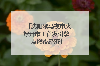 沈阳歇马夜市火爆开市！首发引擎点燃夜经济