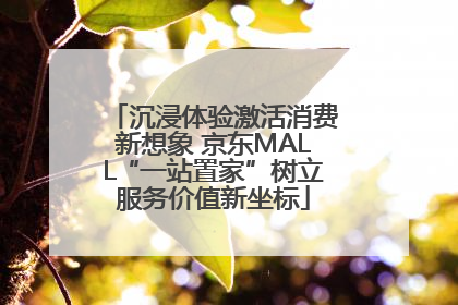 沉浸体验激活消费新想象 京东MALL“一站置家”树立服务价值新坐标