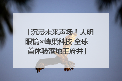 沉浸未来声场！大明眼镜×蜂巢科技 全球首体验落地王府井