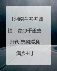 河南兰考考城镇：麦浪千重喜归仓 惠风暖意满乡村