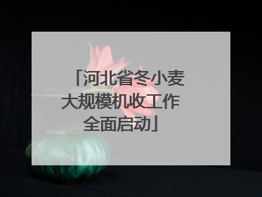 河北省冬小麦大规模机收工作全面启动
