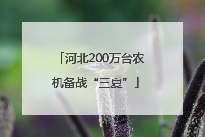 河北200万台农机备战“三夏”