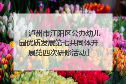 泸州市江阳区公办幼儿园优质发展第七共同体开展第四次研修活动