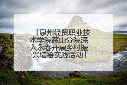 泉州经贸职业技术学院慈山分院深入永春开展乡村振兴墙绘实践活动