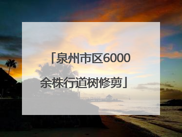 泉州市区6000余株行道树修剪