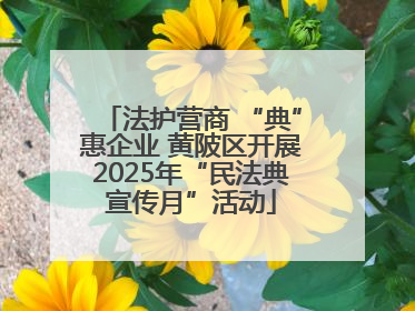 法护营商 “典”惠企业 黄陂区开展2025年“民法典宣传月”活动