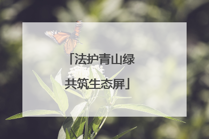 法护青山绿 共筑生态屏