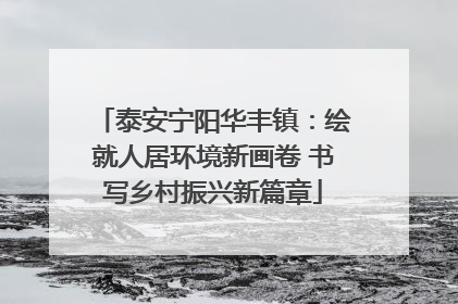 泰安宁阳华丰镇：绘就人居环境新画卷 书写乡村振兴新篇章