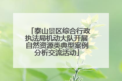 泰山景区综合行政执法局机动大队开展自然资源类典型案例分析交流活动