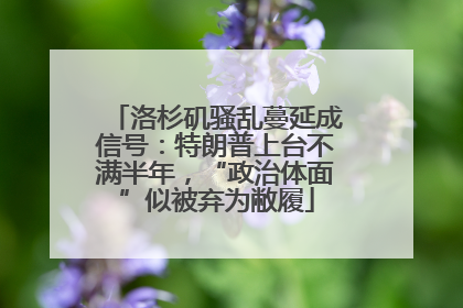 洛杉矶骚乱蔓延成信号：特朗普上台不满半年，“政治体面”似被弃为敝履
