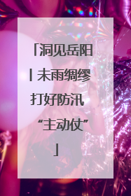 洞见岳阳丨未雨绸缪 打好防汛“主动仗”