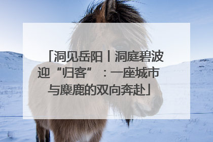 洞见岳阳丨洞庭碧波迎“归客”：一座城市与麋鹿的双向奔赴