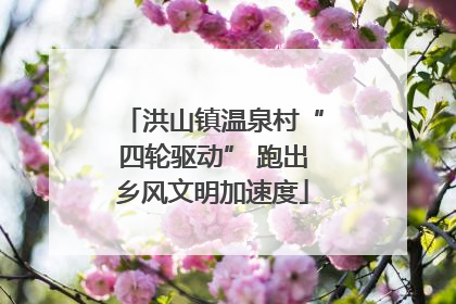 洪山镇温泉村“四轮驱动” 跑出乡风文明加速度