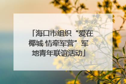海口市组织“爱在椰城 情牵军营”军地青年联谊活动