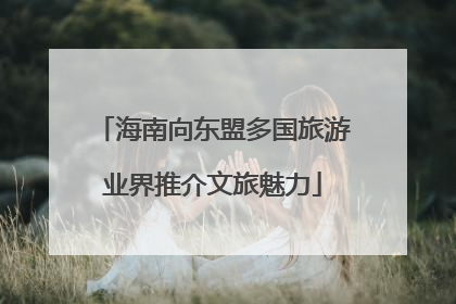 海南向东盟多国旅游业界推介文旅魅力