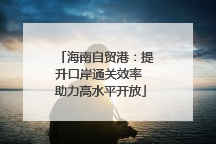 海南自贸港：提升口岸通关效率 助力高水平开放