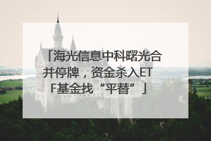 海光信息中科曙光合并停牌，资金杀入ETF基金找“平替”