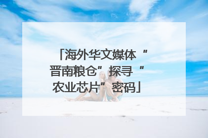 海外华文媒体“晋南粮仓”探寻“农业芯片”密码
