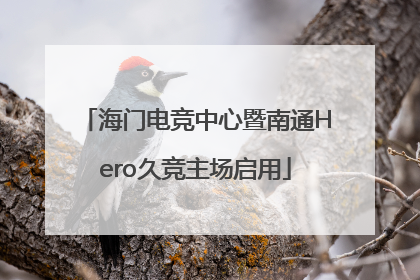 海门电竞中心暨南通Hero久竞主场启用