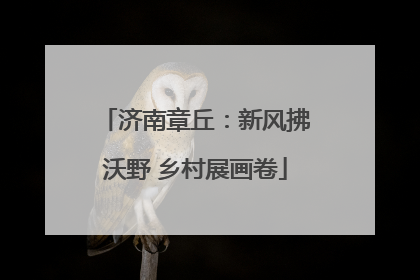 济南章丘：新风拂沃野 乡村展画卷