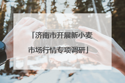 济南市开展新小麦市场行情专项调研