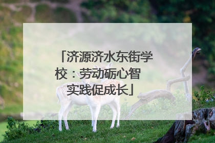 济源济水东街学校：劳动砺心智 实践促成长