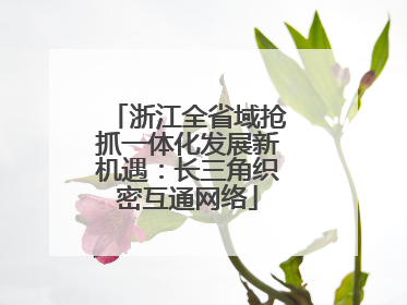 浙江全省域抢抓一体化发展新机遇：长三角织密互通网络