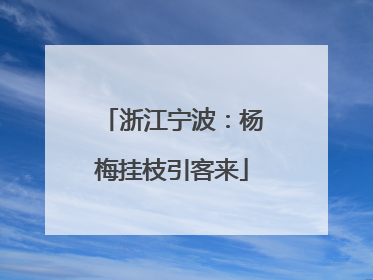 浙江宁波：杨梅挂枝引客来