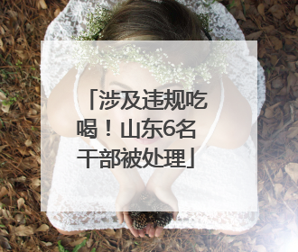 涉及违规吃喝！山东6名干部被处理