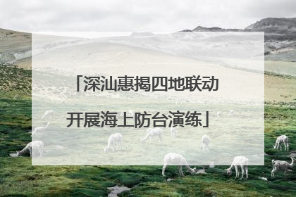 深汕惠揭四地联动开展海上防台演练