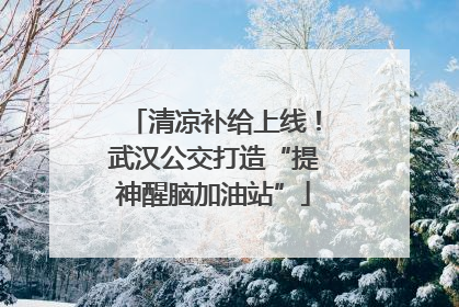 清凉补给上线！武汉公交打造“提神醒脑加油站”