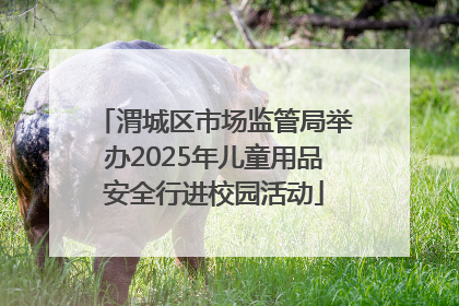 渭城区市场监管局举办2025年儿童用品安全行进校园活动