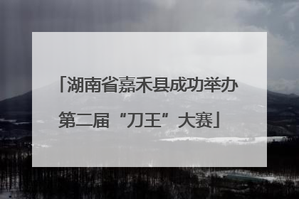 湖南省嘉禾县成功举办第二届“刀王”大赛