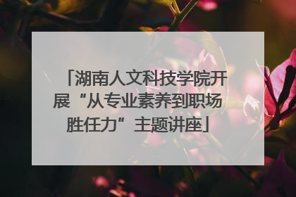 湖南人文科技学院开展“从专业素养到职场胜任力”主题讲座