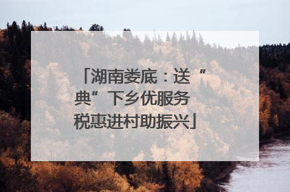 湖南娄底：送“典”下乡优服务 税惠进村助振兴