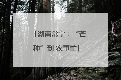 湖南常宁：“芒种”到 农事忙