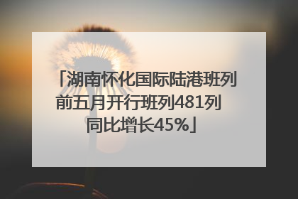 湖南怀化国际陆港班列前五月开行班列481列 同比增长45%